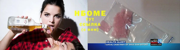 ПСИЛОЦИБИНОВЫЕ ГРИБЫ Вяземский