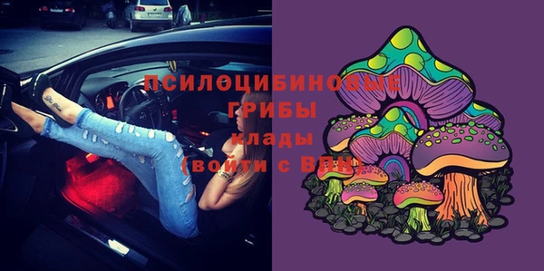 прущий лед Горно-Алтайск