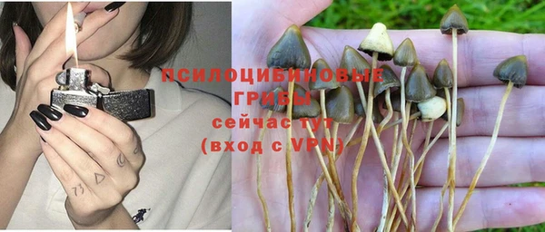 прущий лед Горно-Алтайск