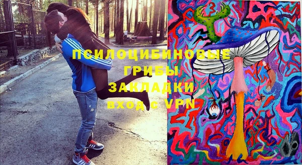 прущий лед Горно-Алтайск