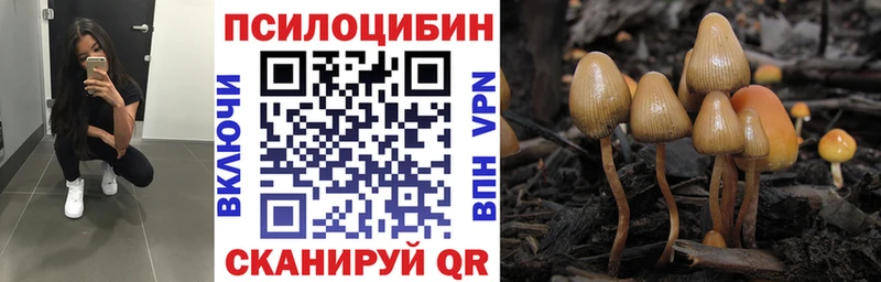 площадка какой сайт  Нефтекамск  Псилоцибиновые грибы GOLDEN TEACHER 